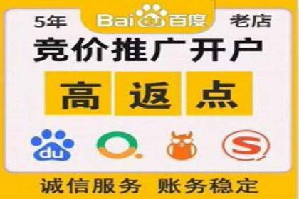 百度SEO推广案例：实战解析与效果展示